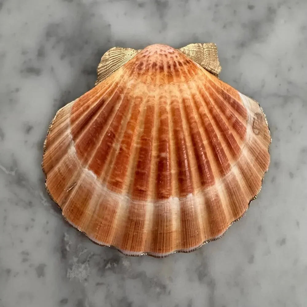 Colorful Chintz Floral Shell Trinket Dish, Flower Ring Holder